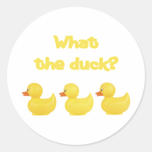 Sticker Rond Quel canard ?