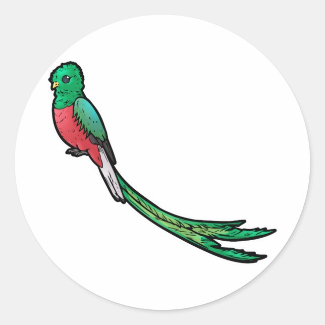 Sticker Rond Quetzal (Devant)