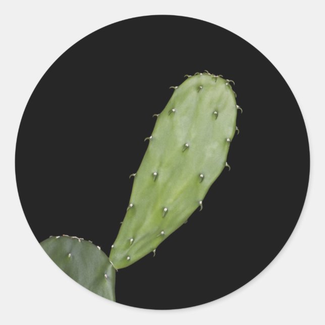 Sticker Rond queue de douleur (Devant)