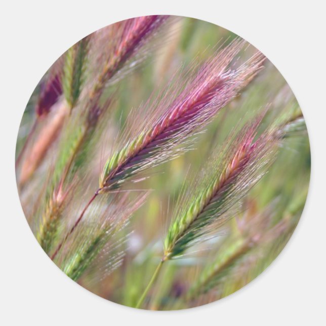 Sticker Rond Queues gracieuses (Devant)