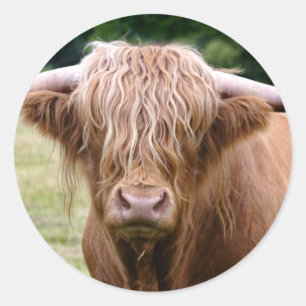 Sticker Rond Qui a éteint l'autocollant Lumières