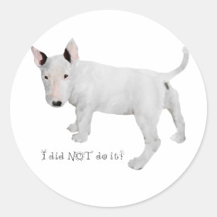 Sticker Rond Qui, moi ? chiot Bull Terrier