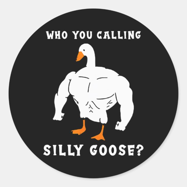 Sticker Rond Qui Vous Appelez Silly Goose Funny Gym meme (Devant)