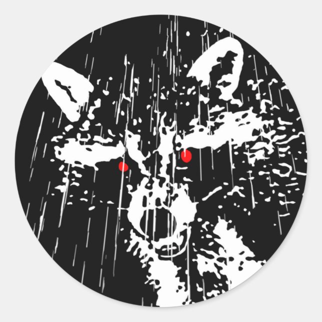 Sticker Rond Raccoon (Devant)