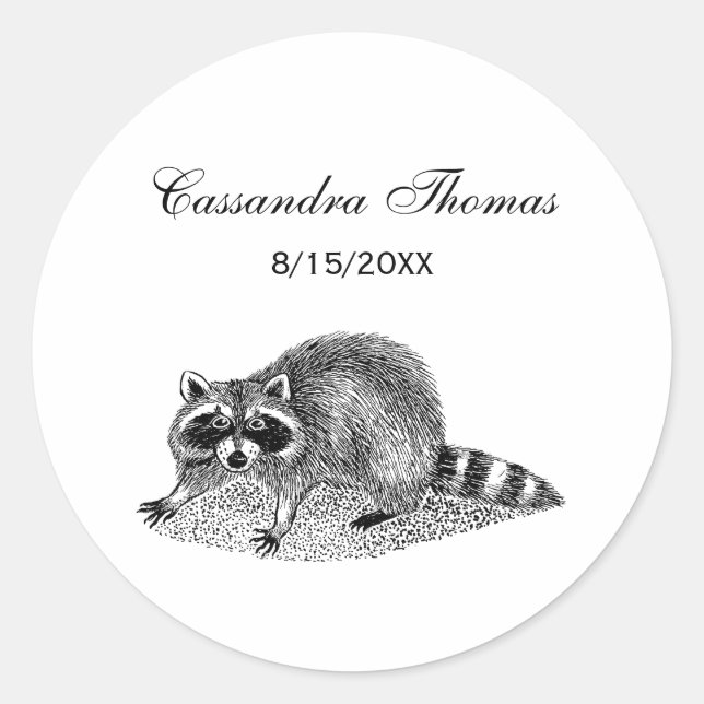 Sticker Rond Raccoon masqué vintage (Devant)
