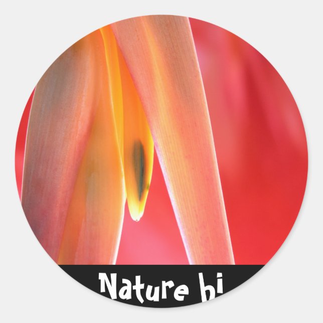 Sticker Rond raccrocher (Devant)