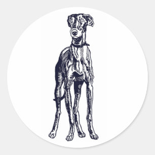 Sticker Rond race Greyhound anglaise