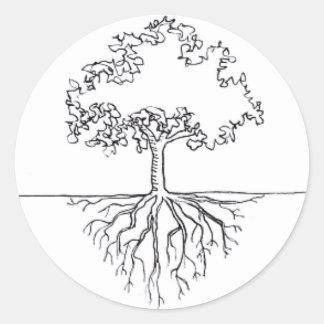 Sticker Rond Racines de l'arbre