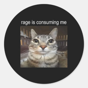 Sticker Rond Rage Me Consume Silly Staring Cat Meme