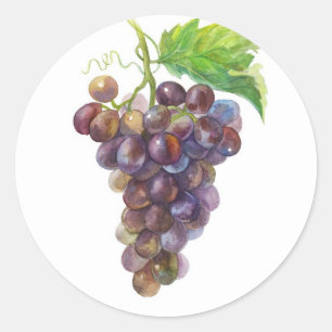 Sticker Rond Raisins Dorés Violets – Aquarelle Botanique