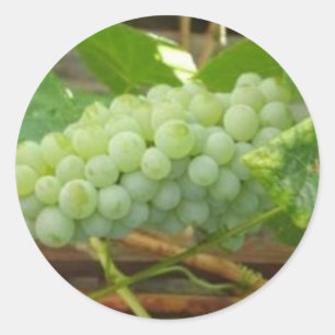 Sticker Rond Raisins verts de Californie