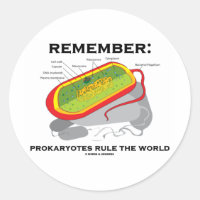 Rappel : Les Prokaryotes gouvernent le monde