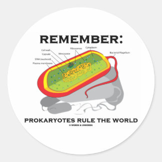 Sticker Rond Rappel : Les Prokaryotes gouvernent le monde