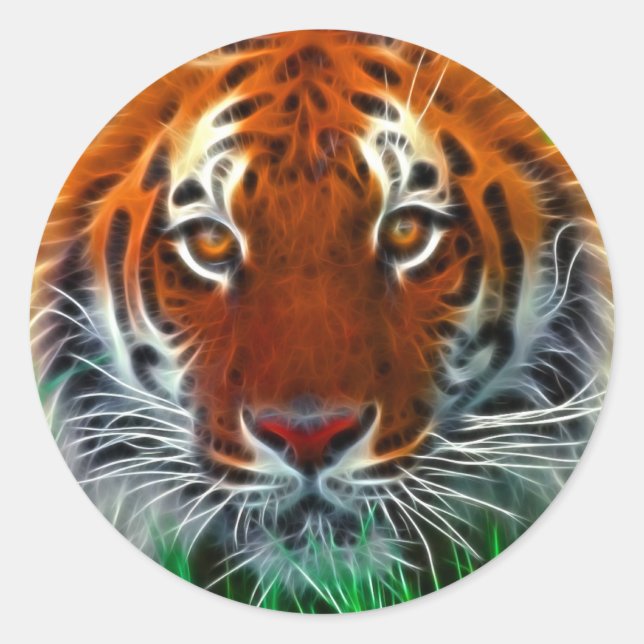 Sticker Rond Rare Sumatran Tiger d'Indonésie (Devant)