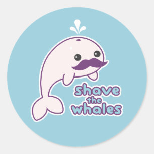 Sticker Rond Rasez les baleines