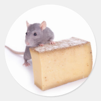 Sticker Rond rat au fromage