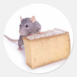 Sticker Rond rat avec du fromage