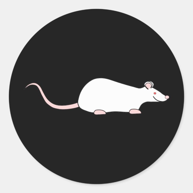 Sticker Rond Rat d'animal de compagnie blanc albinos. (Devant)