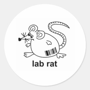 Sticker Rond Rat de laboratoire