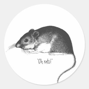Sticker Rond rat de style rétro chic souris vintage