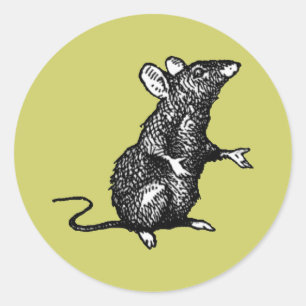 Sticker Rond "rat face" - Customisé