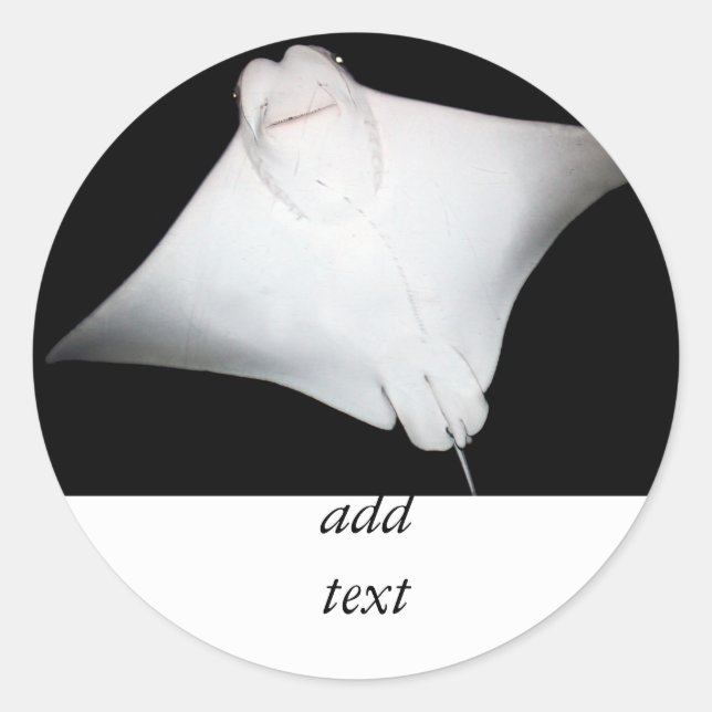 Sticker Rond Rayon souriant (Devant)