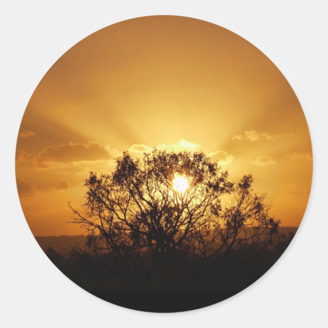 Sticker Rond rayons du soleil (Devant)