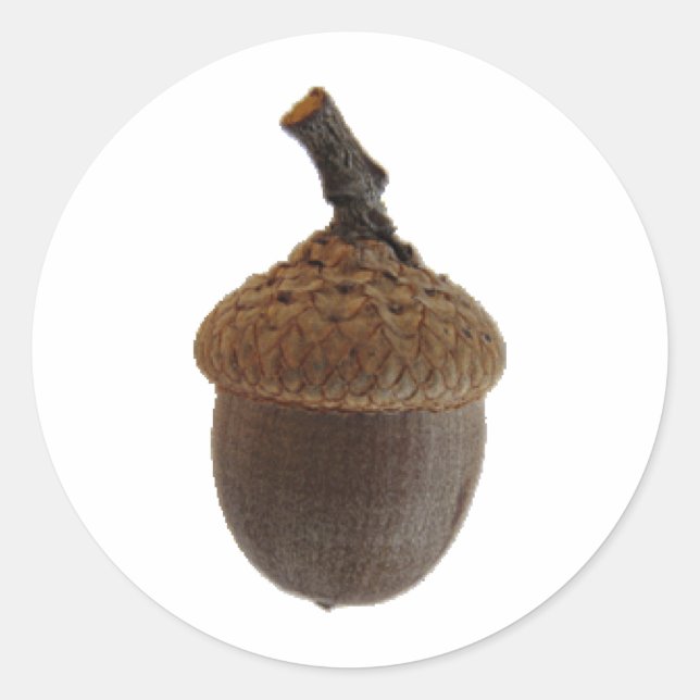 Sticker Rond Recettes de cuisine pour collations de noisettes d (Devant)