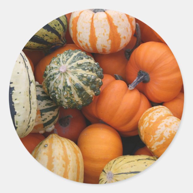 Sticker Rond Récolte de la craie d'automne (Devant)