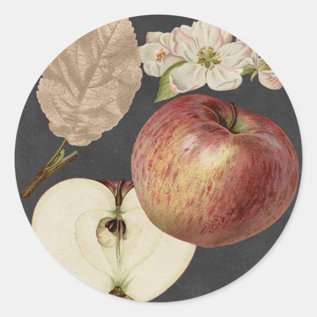 Sticker Rond Récolte de minuit II (Devant)