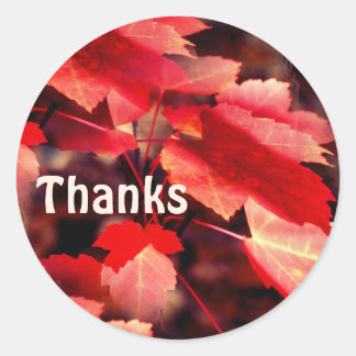 Sticker Rond Red Autumn quitte la nature Merci