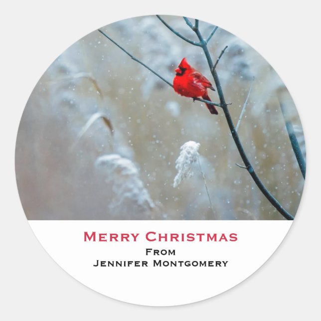 Sticker Rond Red Cardinal dans Winter Nature Photo de Christmas (Devant)