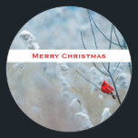 Sticker Rond Red Cardinal dans Winter Nature Photo de Christmas<br><div class="desc">stickers de Noël avec une photo nature pittoresque avec un cardinal rouge vif. Contrasté par rapport à un arrière-plan hivernal extérieur avec la neige tombant doucement vers le bas.</div>