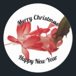 Sticker Rond Red Christmas Cactus Floral Photo Joyeux Noël<br><div class="desc">Cet autocollant présente une fleur de cactus de Noël rouge sur un arrière - plan blanc avec Joyeux Noël en haut et Joyeux Nouvel An en bas. Le texte peut être modifié à votre propre message si vous le souhaitez. Si vous avez besoin d'aide pour personnaliser, veuillez me contacter à...</div>