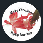 Sticker Rond Red Christmas Cactus Floral Photo Joyeux Noël<br><div class="desc">Cet autocollant présente une fleur de cactus de Noël rouge sur un arrière - plan blanc avec Joyeux Noël en haut et Joyeux Nouvel An en bas. Le texte peut être modifié à votre propre message si vous le souhaitez. Si vous avez besoin d'aide pour personnaliser, veuillez me contacter à...</div>