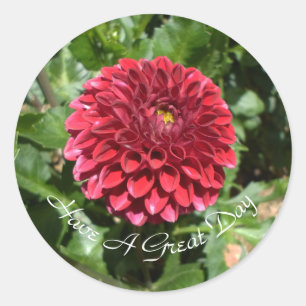 Sticker Rond Red Dahlia