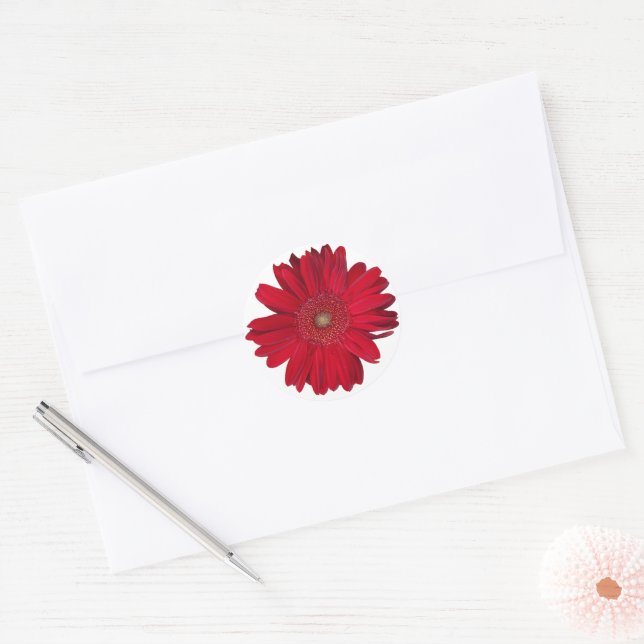 Sticker Rond Red Gerber Daisy Close Up Photographie (Enveloppe)