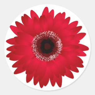Sticker Rond Red Gerbera Daisy