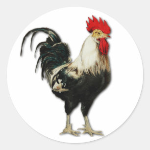 Sticker Rond Red Rooster Chicken