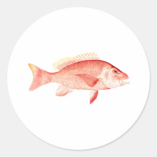 Sticker Rond Red Snapper