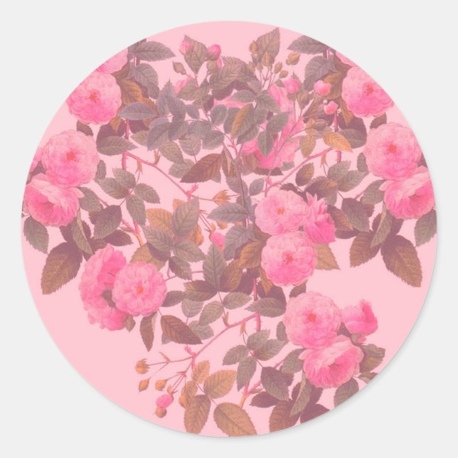 Sticker Rond Redoute Roses (Devant)