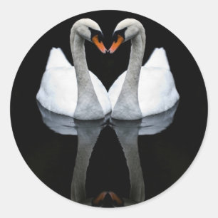 Sticker Rond Réflexions de l'amour, forme du coeur, cygnes blan