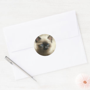 Sticker Rond Regard D'Innocence Siamese Kitten Portrait