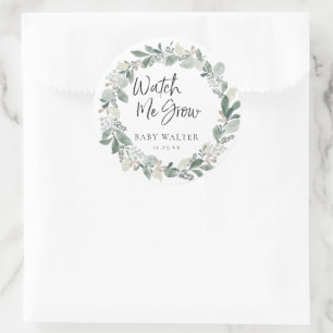 Sticker Rond Regardez-moi grandir   Eucalyptus Baby shower Favo