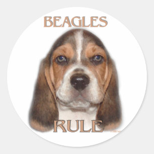 Sticker Rond Règle de beagles !