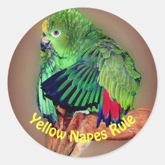 Sticker Rond Règle des perroquets Amazon à nappes jaunes