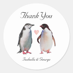 Sticker Rond Remerciement Mariage & Couple de Manchots avec Cœu