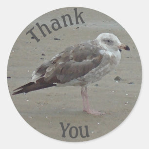 Sticker Rond Remerciement Seagull Beach Appréciation Côtière