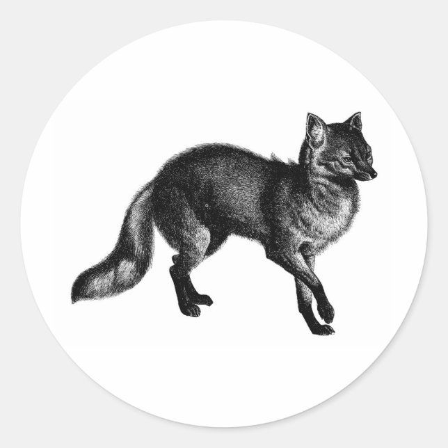 Sticker Rond Renard vintage (Devant)