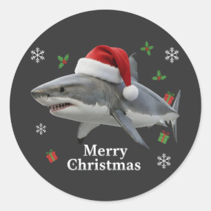 Sticker Rond Requin de Noël amusant avec un bonnet du Père Noël